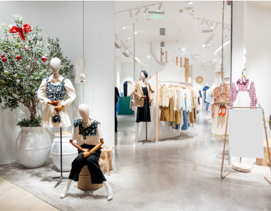 PARIS STORE